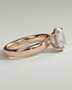Bronte - Oval Solitaire with Cigar Band - 18k Rose Gold High Setting