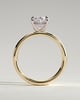 Bronte - Oval Solitaire with Cigar Band - 18k Yellow Gold / 18k White Gold High Setting