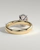 Bronte - Oval Solitaire with Cigar Band - 18k Yellow Gold / 18k White Gold High Setting