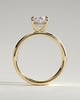 Bronte - Oval Solitaire with Cigar Band - 18k Yellow Gold High Setting