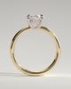 Bronte - Oval Solitaire with Cigar Band - 18k Yellow Gold / 18k White Gold Low Setting