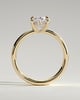 Bronte - Oval Solitaire with Cigar Band - 18k Yellow Gold Low Setting