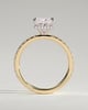 Brooklyn - Princess Solitaire with Hidden Halo and Half Pave - 18k Yellow Gold / 18k White Gold