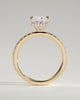 Brooklyn - Princess Solitaire with Hidden Halo and Half Pave - 18k Yellow Gold