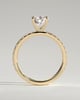 Brynlee - 5 Claw Pear Solitaire with 2/3 Pave Band - 18k Yellow Gold