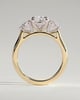 Cataleya - 4 Claw Elongated Cushion with Accent Stones - 18k Yellow Gold / 18k White Gold