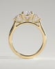 Cataleya - 4 Claw Elongated Cushion with Accent Stones - 18k Yellow Gold