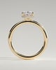 Cecilia - Oval Solitaire with Wrap Around Hidden Halo - 18k Yellow Gold