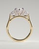 Marquise 6 Claw Trilogy with Pear Side Stones Engagement Ring - 18k Yellow Gold / 18k White Gold
