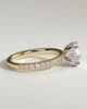 Charlie - 4 Claw Pav Round Solitaire with Hidden Halo - 18k Yellow Gold / 18k White Gold