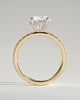 Charlie - 4 Claw Pav Round Solitaire with Hidden Halo - 18k Yellow Gold / 18k White Gold
