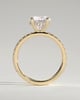 Charlie - 4 Claw Pav Round Solitaire with Hidden Halo - 18k Yellow Gold