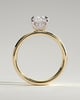 Cora - Elongated Cushion 4 Claw Solitaire with Cigar Band and Hidden Halo Engagement Ring - 18k Yellow Gold / 18k White Gold High Setting
