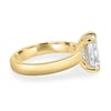 Cora - Elongated Cushion Solitaire with Cigar Band and Hidden Halo - 18k Yellow Gold