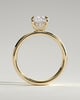 Cora - Elongated Cushion Solitaire with Cigar Band and Hidden Halo - 18k Yellow Gold