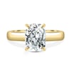Cora - Elongated Cushion Solitaire with Cigar Band and Hidden Halo - 18k Yellow Gold