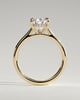 Courtney - Pear Claw Solitaire with Hidden Halo, Tapered Band and Cathedral High Setting Engagement Ring - 18k Yellow Gold