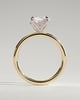 Dahlia - Round 4 Claw Solitaire with Petal Gallery and Accented Tiara Detail Engagement Ring - 18k Yellow Gold / 18k White Gold