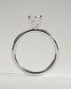 Daisy - Classic Oval Claw Solitaire Engagement Ring - 18k White Gold High Setting