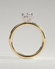 Daisy  Oval Solitaire - 18k Yellow Gold / 18k White Gold High Setting