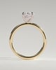 Daisy - Classic Oval Claw Solitaire Engagement Ring - 18k Yellow Gold / 18k White Gold High Setting