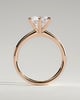 Daniela - Six Claw Solitaire - 18k Rose Gold