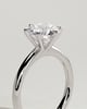 Daniela - Six Claw Solitaire - 18k White Gold