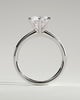 Daniela - Six Claw Solitaire - 18k White Gold