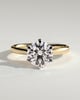 Daniela - Six Claw Solitaire - 18k Yellow Gold / 18k White Gold