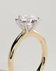 Daniela - Six Claw Solitaire - 18k Yellow Gold / 18k White Gold