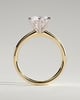 Daniela - Six Claw Solitaire - 18k Yellow Gold / 18k White Gold