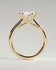 Delilah - 6 Claw Cathedral Round Solitaire - 18k Yellow Gold
