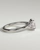 Elena  Oval Trilogy - 18k White Gold