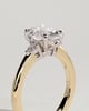 Elena  Oval Trilogy - 18k Yellow Gold / 18k White Gold