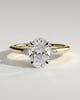 Elena  Oval Trilogy - 18k Yellow Gold / 18k White Gold