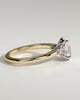 Elena  Oval Trilogy - 18k Yellow Gold / 18k White Gold