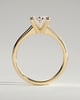 Emily - Oval Solitaire with Tapered Band - 18k Yellow Gold