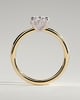 Emma  Oval Solitaire with Hidden Halo - 18k Yellow Gold / 18k White Gold Low Setting