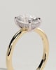 Emma  Oval Solitaire with Hidden Halo - 18k Yellow Gold / 18k White Gold Low Setting