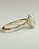 Emma  Oval Solitaire with Hidden Halo - 18k Yellow Gold Low Setting