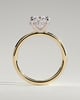 Emma  Oval Solitaire with Hidden Halo - 3ct Yellow Gold/White Gold