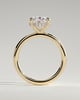 Emma  Oval Solitaire with Hidden Halo - 4ct Yellow Gold