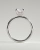 Evie - Radiant Claw Solitaire with Petal Gallery and Accent Leaf Detail Engagement Ring - 18k White Gold