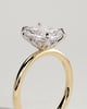 Evie - Radiant Claw Solitaire with Petal Gallery and Accent Leaf Detail Engagement Ring - 18k Yellow Gold / 18k White Gold