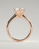 Gabrielle  6 Claw Solitaire - 18k Rose Gold