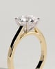 Georgia  4 Claw Cathedral Round Solitaire - 18k Yellow Gold / 18k White Gold