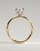 Gigi - Marquise 6 Claw Solitaire with Cigar Band and Hidden Halo Engagement Ring - 18k Yellow Gold / 18k White Gold High Setting