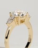 Halle - 4 Claw Basket Set Trilogy - 18k Yellow Gold