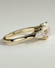 Halle - 4 Claw Basket Set Trilogy - 18k Yellow Gold