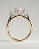 Hannah  Marquise Trilogy with Hidden Halo - 18k Yellow Gold / 18k White Gold